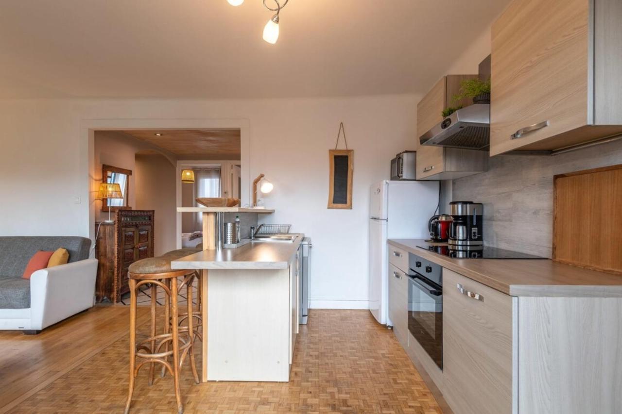 Petit Port Furnished Flat Annecy Exterior foto